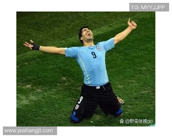 绿色球场上的爱心传奇 他是足球场上的环保英雄