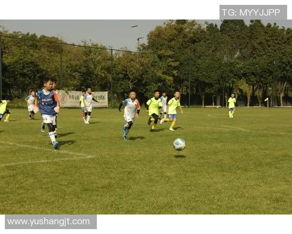 世界足球巨星助力凉山足球发展点燃青少年体育梦想